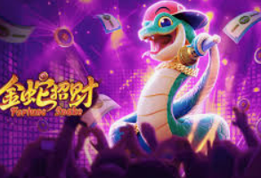 星空全站客户端