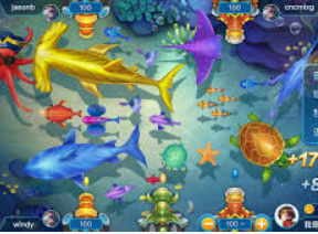 星空全站2024最新版